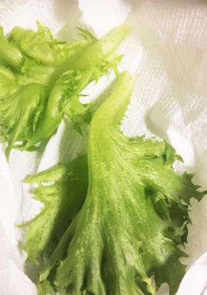 【便利】フリルレタスの保存☆-レシピのメイン写真