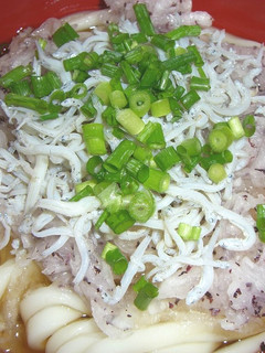 さっぱりっ♪しらすおろしうどん-レシピのメイン写真