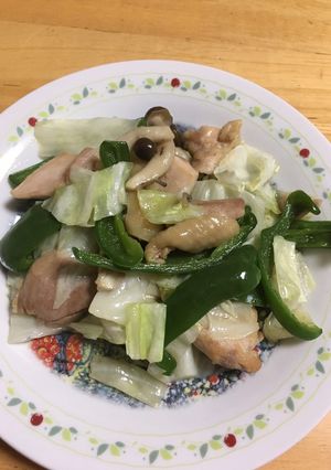 鶏肉とキャベツの塩炒め-レシピのメイン写真