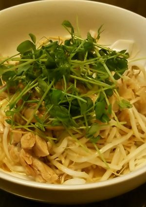 もやしと鶏肉のおつまみ風サラダ-レシピのメイン写真