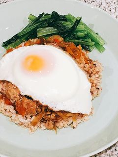 挽き肉入りきんぴら丼☆-レシピのメイン写真