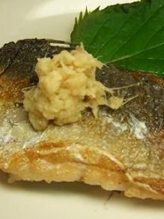 ☆アジの塩焼き♪お酒のおつまみ~☆-レシピのメイン写真