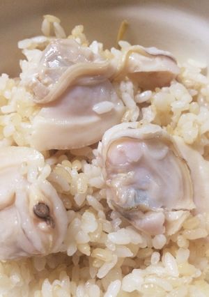 はまぐりご飯 圧力鍋 版（硬めご飯）-レシピのメイン写真
