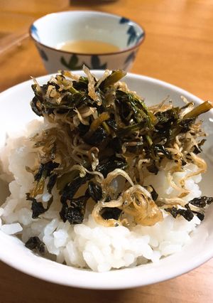 大根の葉っぱとじゃこ炒め-レシピのメイン写真