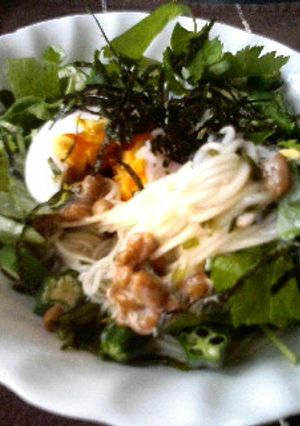 杏なネバネバそうめん-レシピのメイン写真