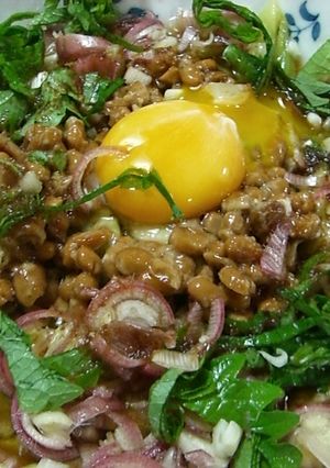 ヘルシー！うまうま！なすそうめん-レシピのメイン写真