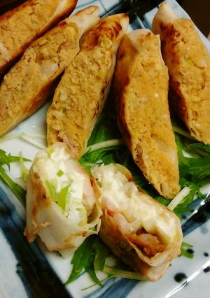 おからの焼き春巻き-レシピのメイン写真