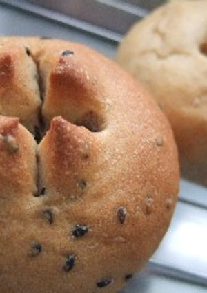 基本のパン生地を使って、セサミチーズパン-レシピのメイン写真