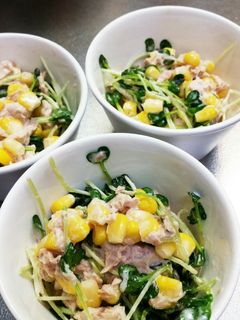 ツナ缶とコーン缶とかいわれのサラダ-レシピのメイン写真