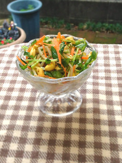 豆もやしと豆苗の彩りサラダ-レシピのメイン写真