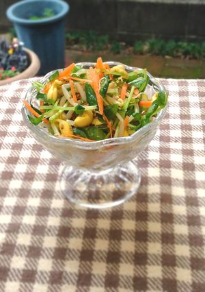 豆もやしと豆苗の彩りサラダ-レシピのメイン写真