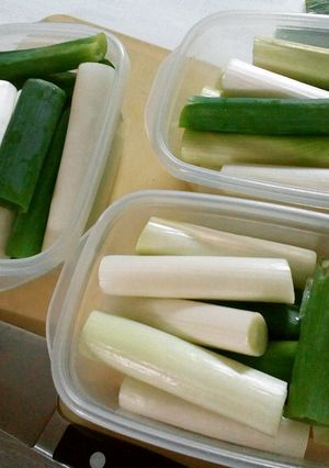 長ネギは長いまま冷凍・冷蔵(๑´ڡ`๑)-レシピのメイン写真