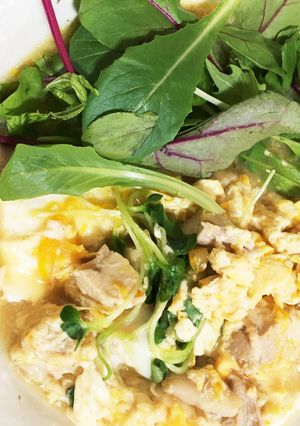 ケトジェニック 鳥もも肉の親子煮-レシピのメイン写真