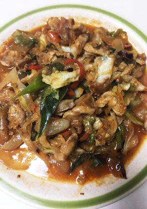 ☆旬の野菜キャベツでホイコーローもどき☆-レシピのメイン写真