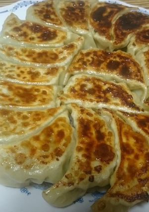 我が家の餃子だよ-レシピのメイン写真