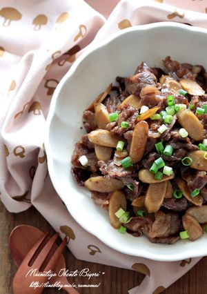 牛肉とごぼうの甘辛炒め♪常備菜にも-レシピのメイン写真