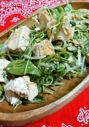 ☆もやしと豆苗の鶏肉おかずサラダ☆-レシピのメイン写真