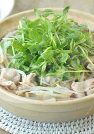 豆苗ともやしのごまみそ鍋-レシピのメイン写真