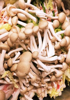 ミルフィーユ鍋 きのこやもやしうどんも！-レシピのメイン写真