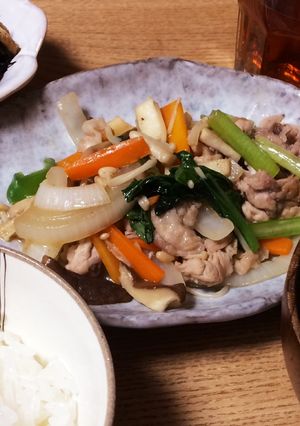 ダシダで野菜たっぷり肉野菜炒め-レシピのメイン写真
