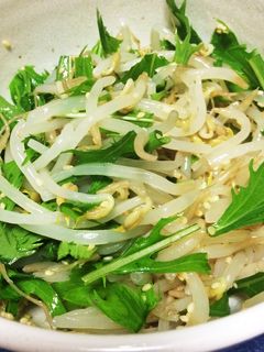 もやしと水菜のナムル風サラダ-レシピのメイン写真