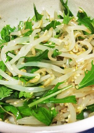 もやしと水菜のナムル風サラダ-レシピのメイン写真