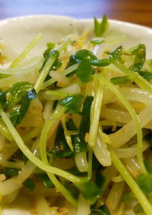 もやし＆豆苗のサラダ。-レシピのメイン写真