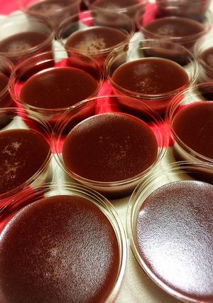 水ようかん-レシピのメイン写真