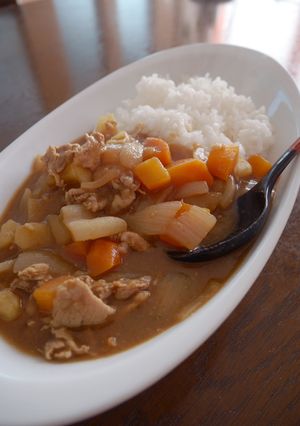 あごだしつゆで、ちゃちゃっとカレー-レシピのメイン写真
