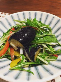 茄子の揚げ出しサラダ〜柚子胡椒風味〜-レシピのメイン写真