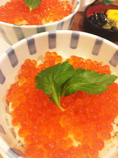 プチプチいくらと鮭の親子丼☆☆☆-レシピのメイン写真