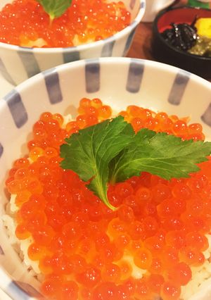 プチプチいくらと鮭の親子丼☆☆☆-レシピのメイン写真