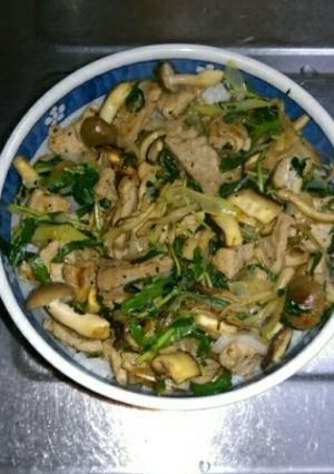 ４月１３日晩飯【肉野菜炒め丼】-レシピのメイン写真