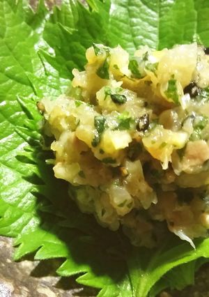 鯵のなめろう-レシピのメイン写真