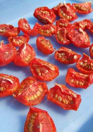 ドライトマト dried tomato-レシピのメイン写真
