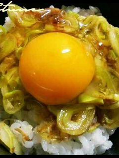 卵かけご飯おかか白長ねぎ究極絶品アレンジ-レシピのメイン写真