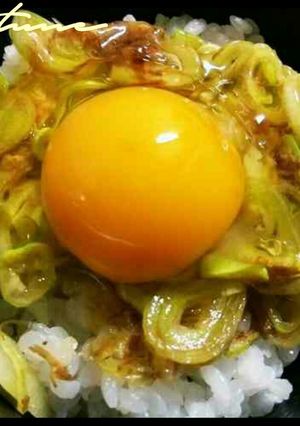 卵かけご飯おかか白長ねぎ究極絶品アレンジ-レシピのメイン写真