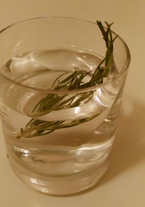 芋焼酎のお湯割り、ローズマリーの枝添え-レシピのメイン写真