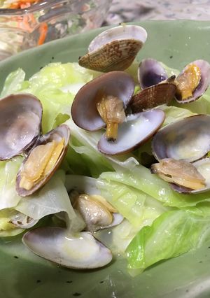 アサリとキャベツの酒蒸し♪-レシピのメイン写真