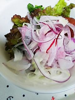 紫玉ねぎの甘酸っぱサラダ-レシピのメイン写真