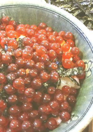 イクラ（筋子）の醤油漬け　アニサキス対策-レシピのメイン写真