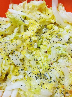 鉄分たっぷり白菜サラダ-レシピのメイン写真