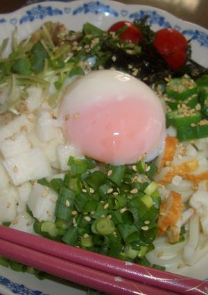 薬味たっぷり☆冷やしうどん-レシピのメイン写真