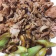 簡単!豚ネギしめじにんにく炒め