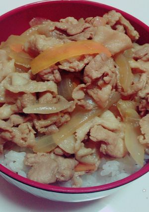 ご飯が進む♩甘辛豚丼♫-レシピのメイン写真