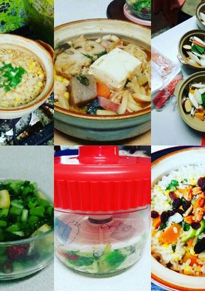 味噌雑炊と塩漬け(血管ダイエット987)-レシピのメイン写真