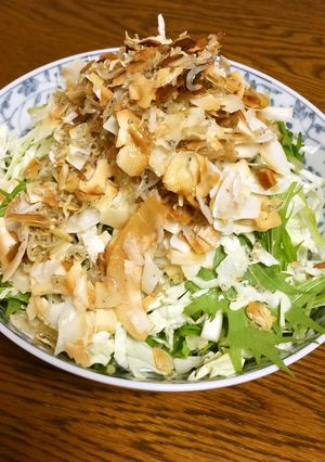 ちりめんココナッツサラダ-レシピのメイン写真