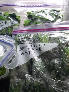 大根の葉保存-レシピのメイン写真
