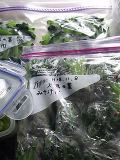 大根の葉保存-レシピのメイン写真