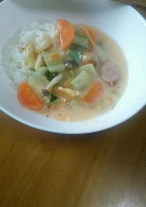 かける派！お鍋野菜でキムチシチュー-レシピのメイン写真